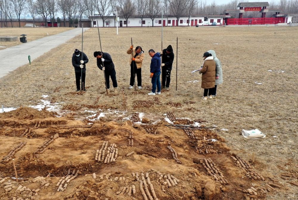 在殷墟王陵遺址，工作人員在勘探圍溝范圍（2月24日攝）。