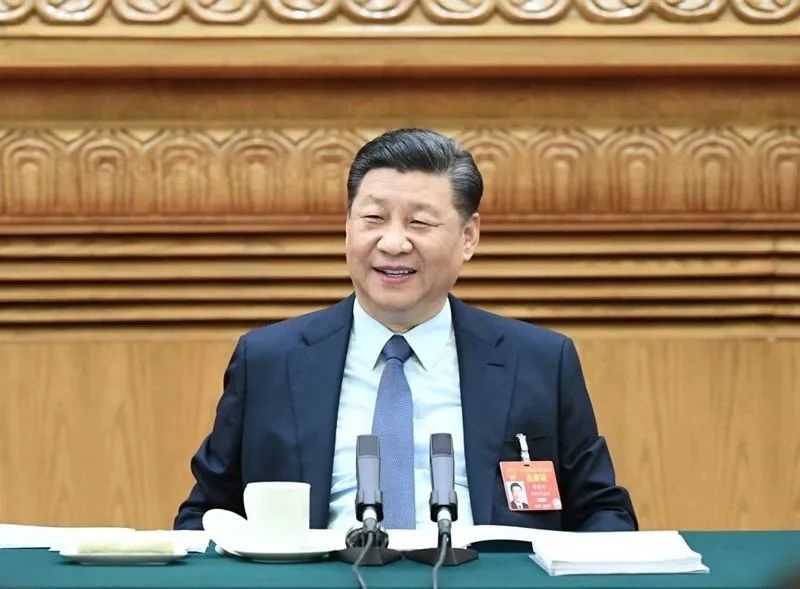 2019年3月8日，習(xí)近平參加十三屆全國人大二次會議河南代表團的審議。新華社記者 謝環(huán)馳 攝