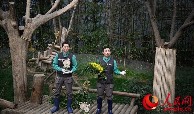 熊貓飼養(yǎng)員姜哲遠和宋永寬向媒體介紹為“福寶”準(zhǔn)備的送別禮物。人民網(wǎng) 李帆攝