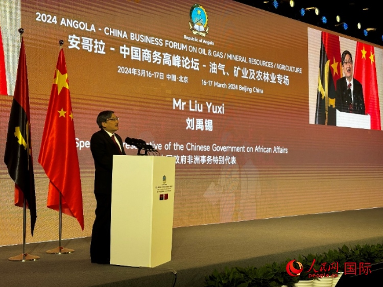 中國(guó)政府非洲事務(wù)特別代表劉禹錫。人民網(wǎng)記者 張榮攝