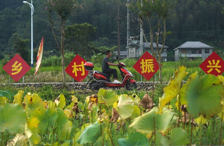 2023年8月24日拍攝的江西省靖安縣璪都鎮(zhèn)港背村一景。該村在當?shù)卣С窒?，修古建，建民宿，搞開發(fā)，引進竹筏漂流、觀光采摘、農(nóng)耕體驗、森林研學等多種旅游業(yè)態(tài)，建成新田園生態(tài)度假小鎮(zhèn)，發(fā)展鄉(xiāng)村旅游，走上致富路。