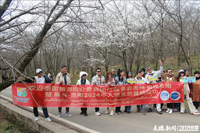 首個(gè)泰國(guó)入境旅游團(tuán)打卡貴安櫻花園。