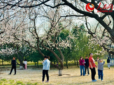 游客在北京長(zhǎng)陽公園賞花。人民網(wǎng)記者 劉微攝