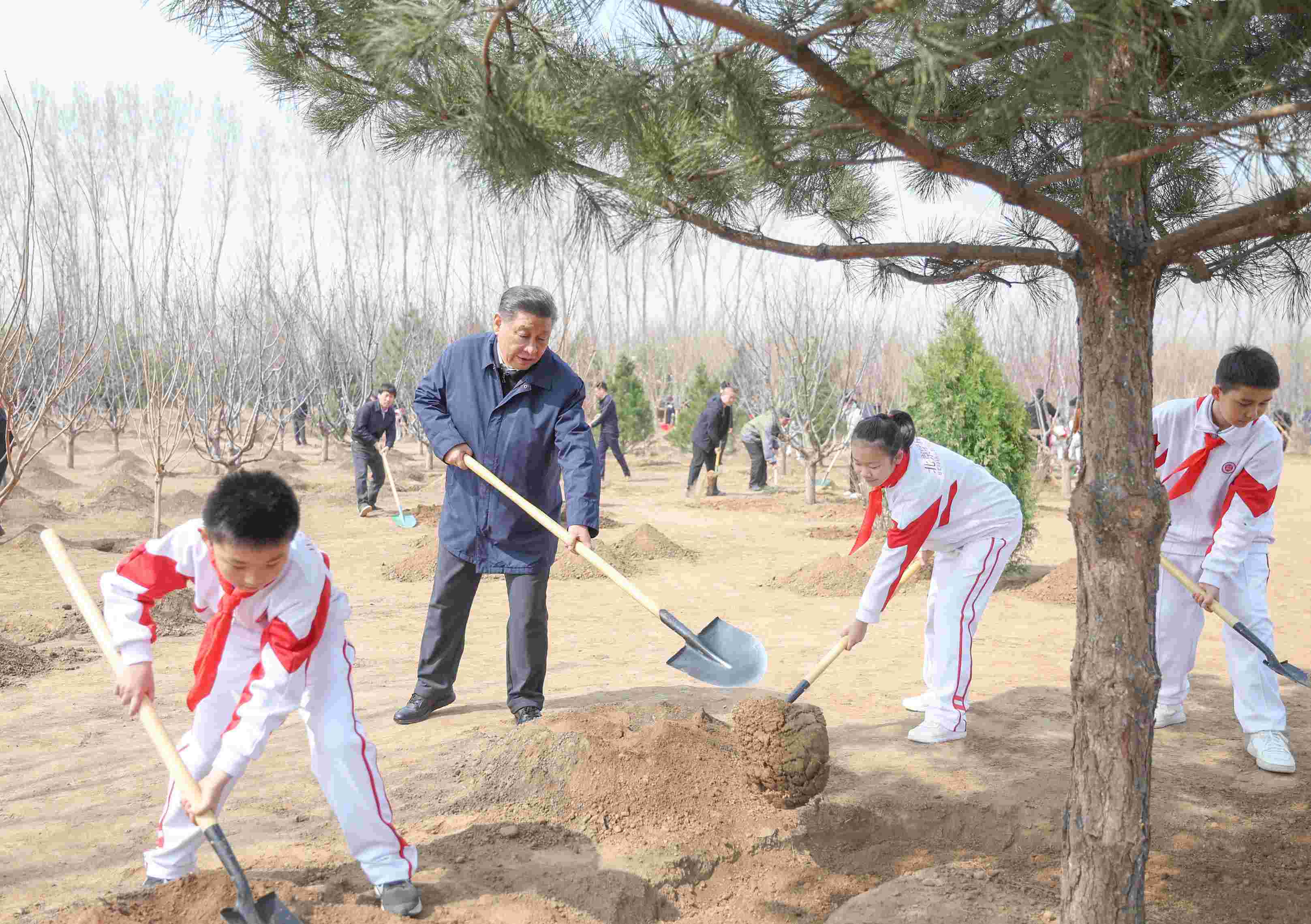 2024年4月3日，習(xí)近平總書記來到北京市通州區(qū)潞城鎮(zhèn)參加首都義務(wù)植樹活動(dòng)。
