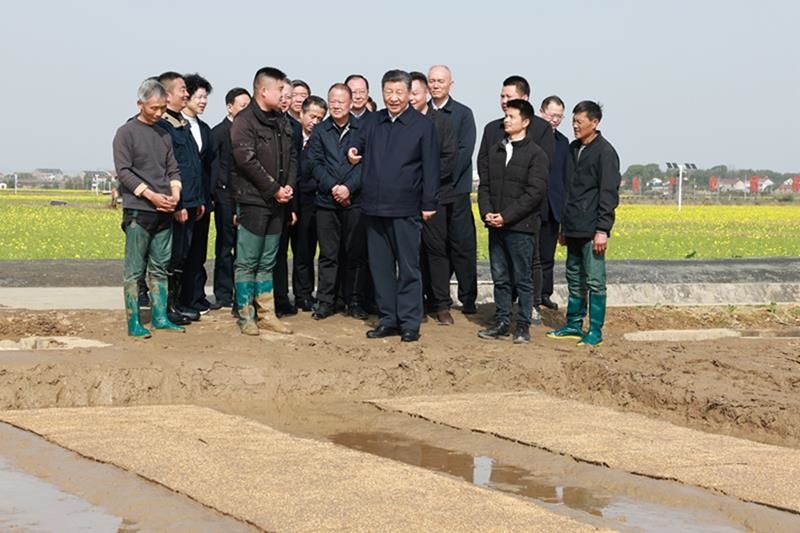 △2024年3月19日，在湖南常德市鼎城區(qū)謝家鋪鎮(zhèn)港中坪村，習(xí)近平總書記走進(jìn)田間，察看秧苗培育和春耕備耕進(jìn)展。