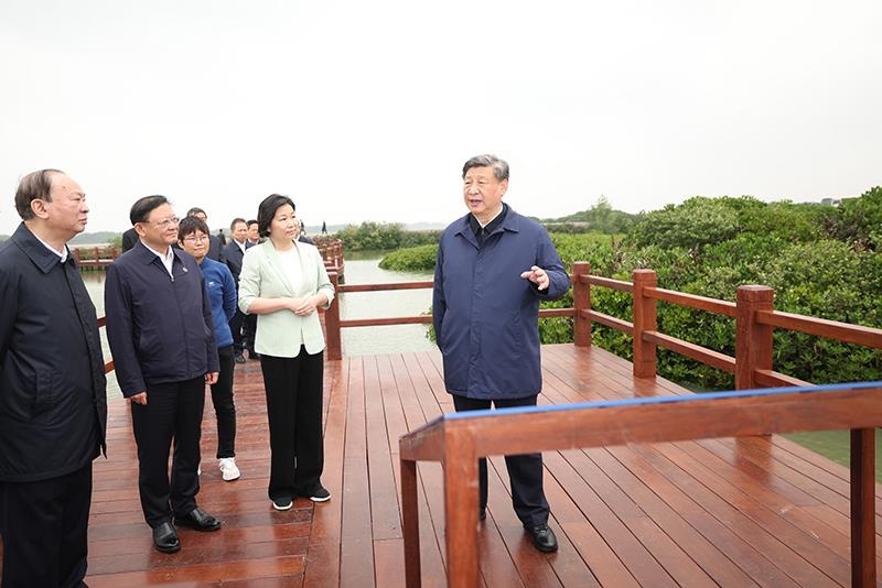△2023年4月10日，習(xí)近平總書記在廣東湛江市麻章區(qū)湖光鎮(zhèn)金牛島紅樹林片區(qū)考察。
