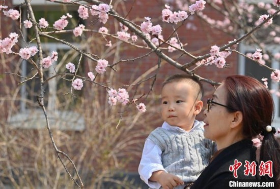 4月21日，游客在吉林大學南嶺校區(qū)賞花。張瑤 攝
