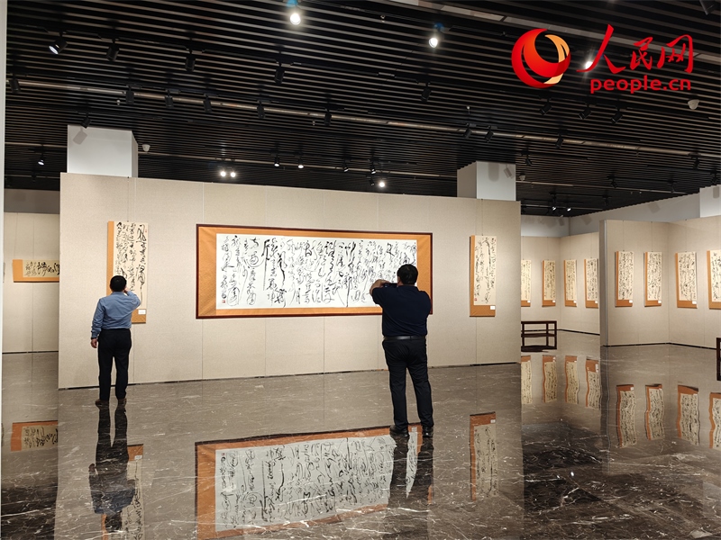 觀眾正在參觀展覽。人民網(wǎng)記者 韋衍行攝