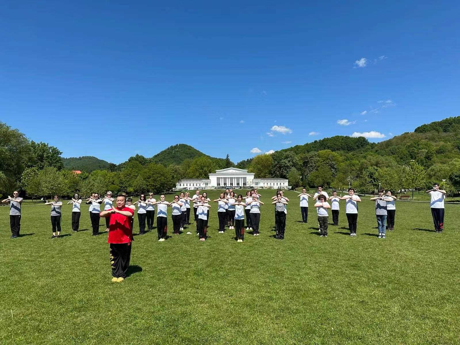 北京體育大學教授武冬帶領學員進行太極拳演練。布加勒斯特中國文化中心供圖