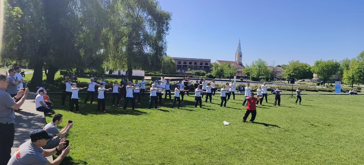 北京體育大學教授武冬做太極拳進階教學。布加勒斯特中國文化中心供圖