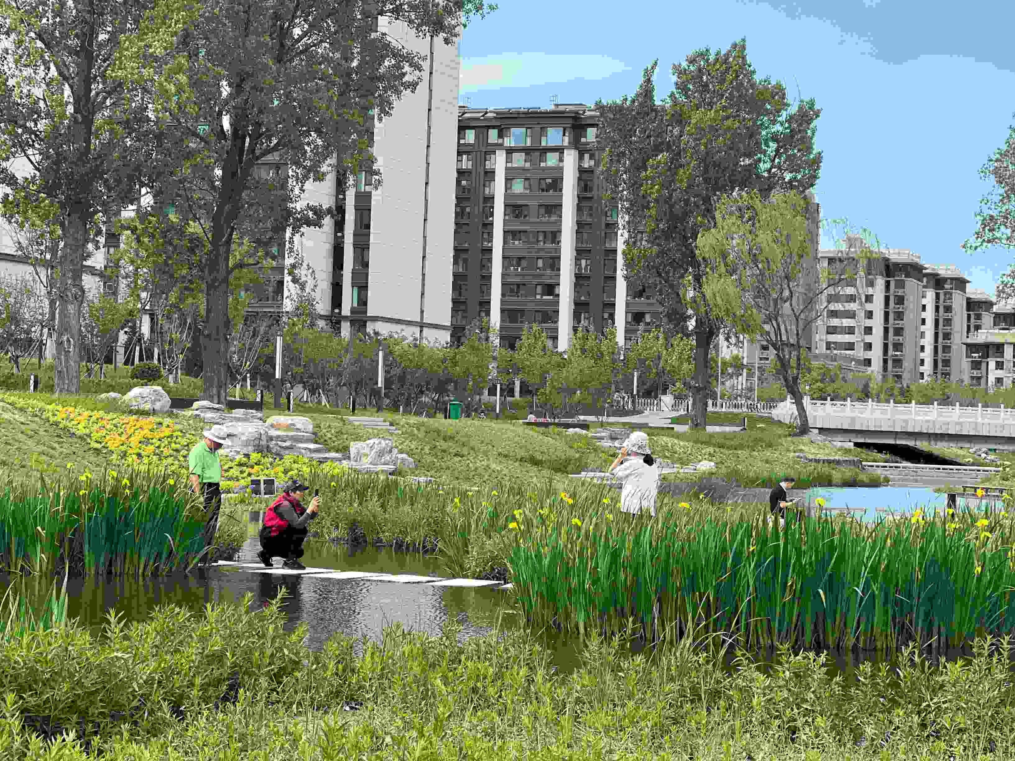 五一渠生態(tài)濱河公園內(nèi)，市民正在拍照留念。人民網(wǎng) 歐陽易佳攝