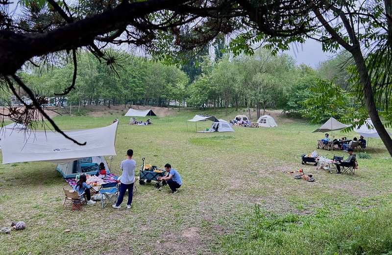 “自駕+露營”等多元模式受熱捧。人民網(wǎng)記者 王連香攝
