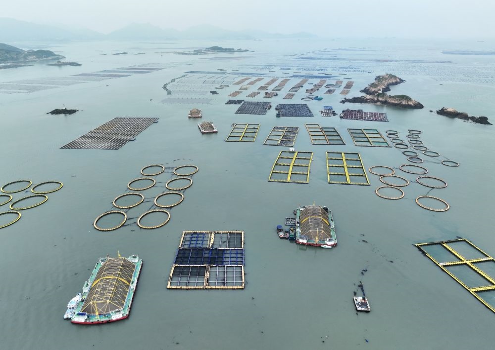 在福建連江定海灣海域，坐落著“定海灣1號(hào)”“定海灣2號(hào)”等深遠(yuǎn)海養(yǎng)殖平臺(tái)（2024年5月7日攝，無人機(jī)照片）。新華社記者 林善傳 攝