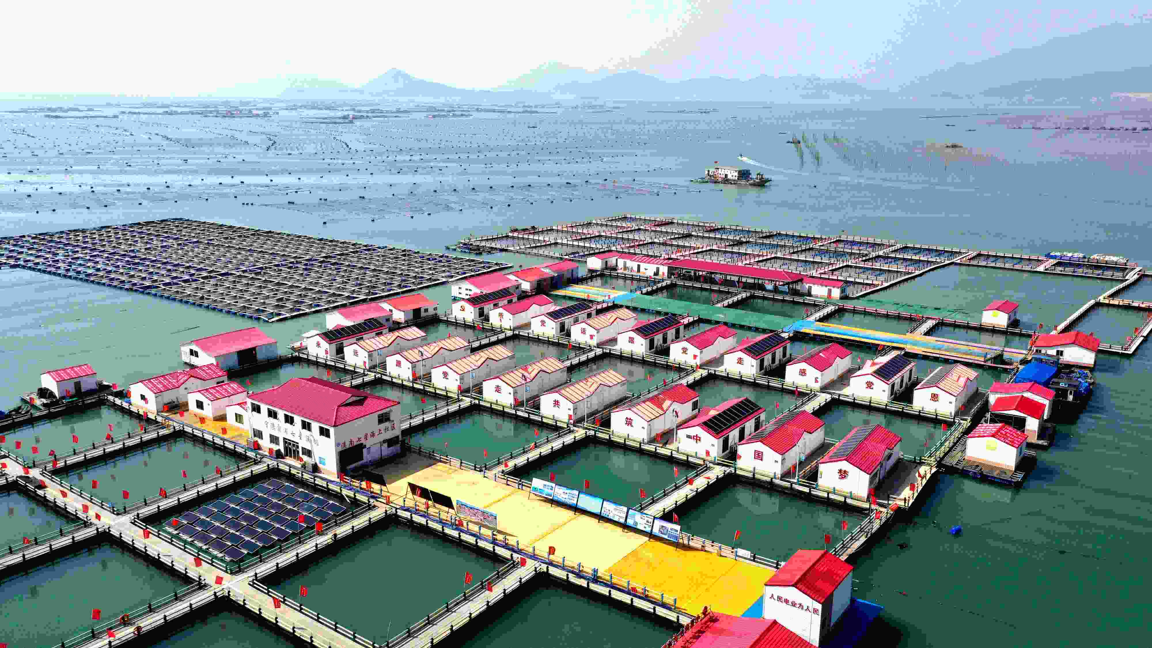 2024年3月20日，福建省寧德市，霞浦縣溪南鎮(zhèn)七星村漁排養(yǎng)殖示范區(qū)，漁民駕駛養(yǎng)殖船進(jìn)行海參養(yǎng)殖作業(yè)。