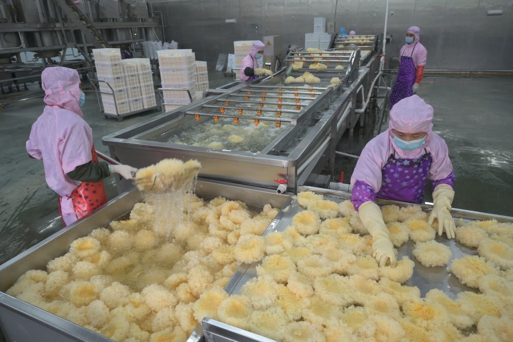 2024年5月10日，在福建省寧德市古田縣，一家食品公司的工作人員在挑選清洗銀耳。新華社記者 林善傳 攝
