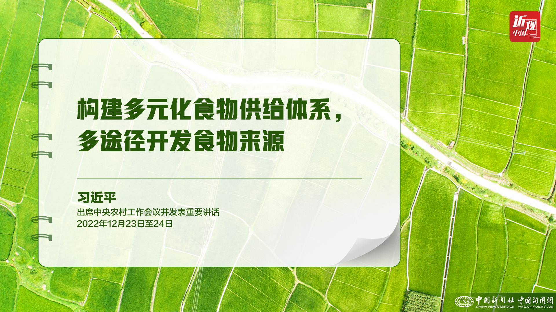 習(xí)近平：樹立大食物觀，構(gòu)建多元化食物供給體系