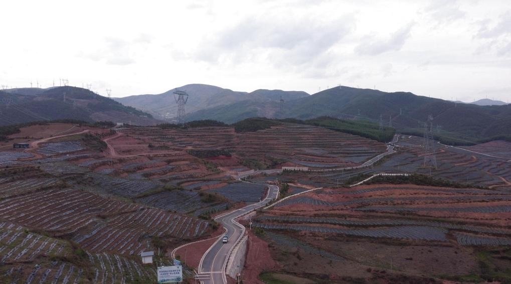 火普村的藍莓基地一角（無人機照片）。新華社記者 尹恒 攝
