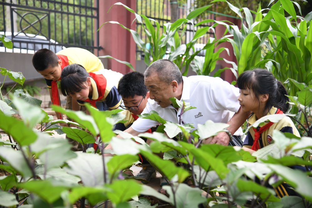 5月31日，老師帶領(lǐng)學(xué)生在之江小學(xué)勞動(dòng)實(shí)踐基地學(xué)習(xí)蔬菜知識(shí)。新華社記者 胥冰潔 攝