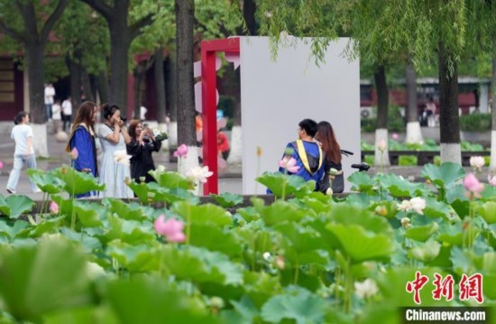 6月19日，時值一年畢業(yè)季，四川大學(xué)望江校區(qū)荷花池里的荷花盛開，成為了畢業(yè)生們的打卡圣地，吸引了眾多畢業(yè)生拍照留念。圖為畢業(yè)生在荷花池邊拍照留念。中新社記者 安源 攝