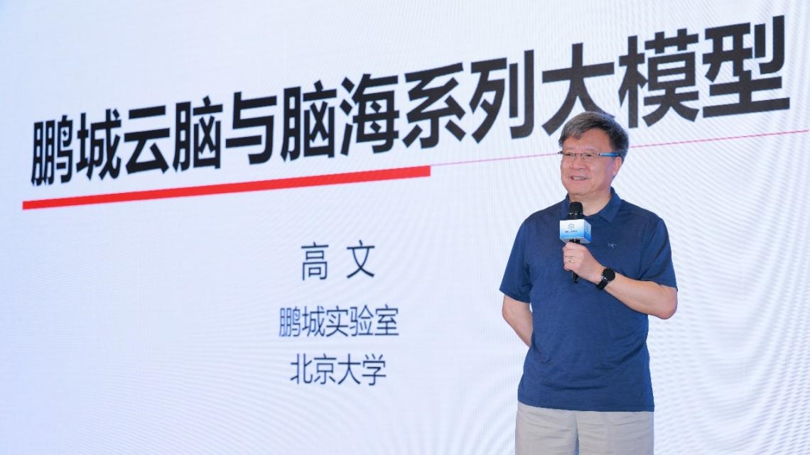 高文院士做大會(huì)特邀報(bào)告。主辦方供圖
