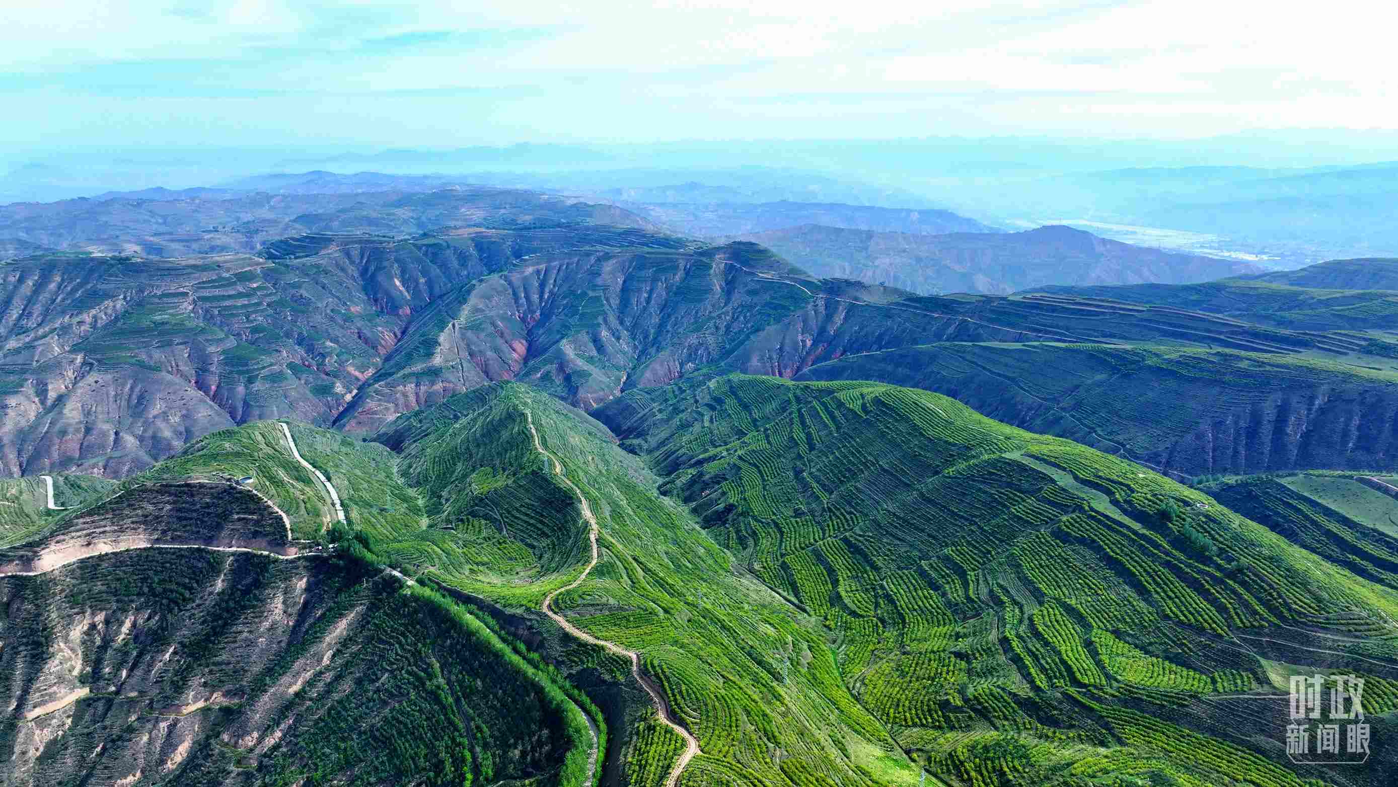 △青海西寧。（總臺(tái)記者柳成拍攝）