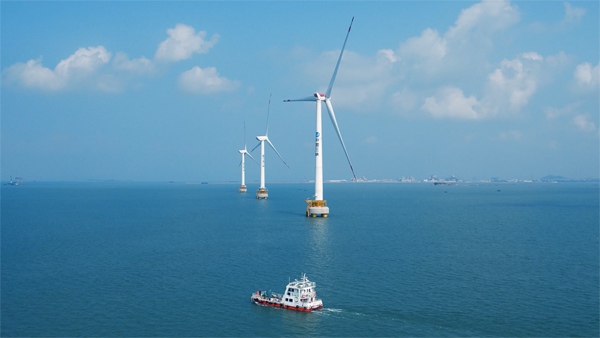 福建興化灣海上風(fēng)電場。受訪者供圖