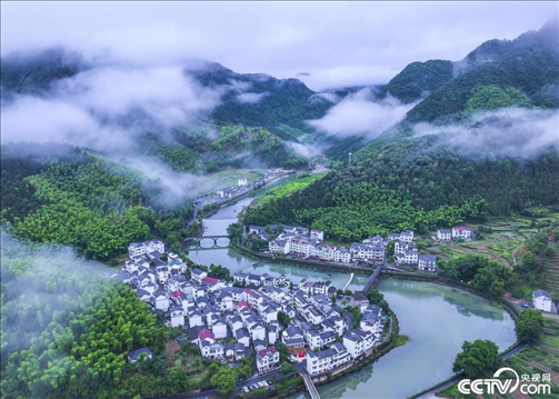 2024年6月19日，浙江省杭州市淳安縣楓樹嶺鎮(zhèn)下姜村，雨后云霧繚繞。