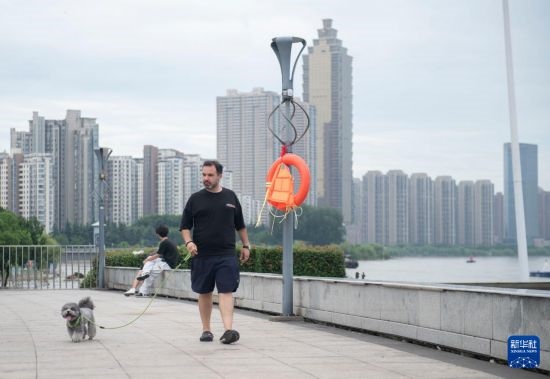 7月20日，在安徽蕪湖市，馬丁在長江邊遛狗。新華社記者 傅天 攝
