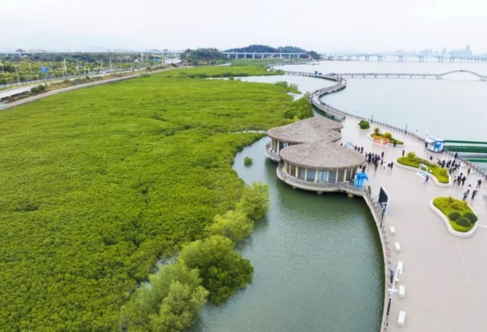 2024年1月23日拍攝的廈門市翔安區(qū)下潭尾紅樹林公園（無(wú)人機(jī)照片）。新華社記者 林善傳 攝