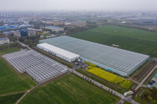 2024年3月28日，空中俯瞰嘉興南湖區(qū)湘家蕩農(nóng)業(yè)數(shù)字化工廠（無(wú)人機(jī)照片）。該農(nóng)業(yè)數(shù)字化工廠占地總面積約62畝，包含智慧農(nóng)業(yè)生產(chǎn)、物聯(lián)網(wǎng)智能管理、自動(dòng)分揀包裝、保鮮儲(chǔ)藏物流、高科技示范展示等五大功能區(qū)，可直接或間接培養(yǎng)帶動(dòng)新型職業(yè)技術(shù)農(nóng)民500人以上。新華社記者 徐昱 攝