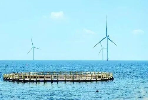 △山東萊州風(fēng)電項(xiàng)目實(shí)現(xiàn)了海上風(fēng)電和海洋牧場融合發(fā)展。