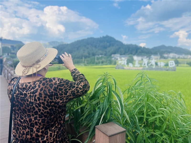 “我在花茂有塊田”，不僅是中國人的詩和遠(yuǎn)方，也是塔吉克斯坦“阿維斯塔”通訊社總編輯占納特洪·庫爾班諾娃的“烏托邦”。（張亞欣攝）