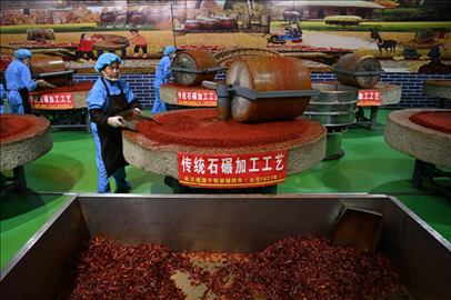 工人用電動(dòng)石碾加工辣椒面。新華社記者 范培珅 攝