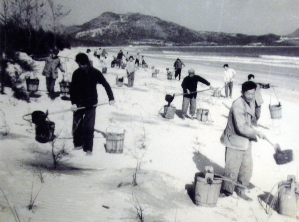 上世紀(jì)東山百姓在沙灘造林（資料照片）。