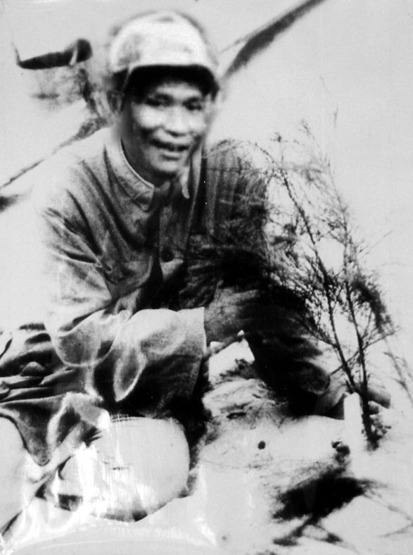 谷文昌與試種成活的木麻黃（資料照片）。為了治沙，谷文昌爬遍了東山縣400多個(gè)山頭，踏遍了30多公里的沙灘，終于帶領(lǐng)東山人民試種木麻黃成功。