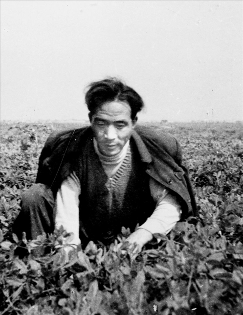 在蘭考期間，焦裕祿在田間勞動(dòng)的情景。