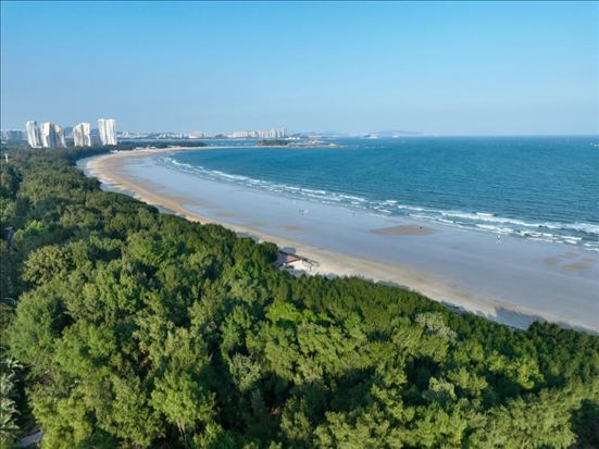 郁郁蔥蔥的東山縣沿海防護(hù)林（無人機(jī)拍攝）。新華社記者 姜克紅 攝