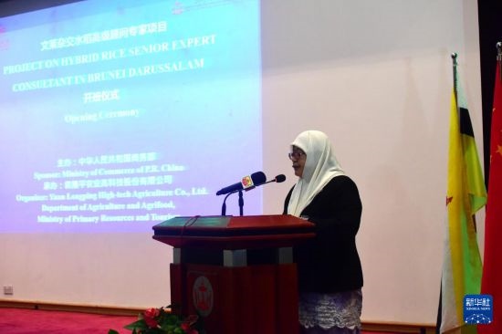 10月26日，文萊初級資源與旅游部常任秘書圖蒂亞蒂在斯里巴加灣市出席中國與文萊雜交水稻高級專家顧問項目啟動儀式。新華社記者 李萌 攝