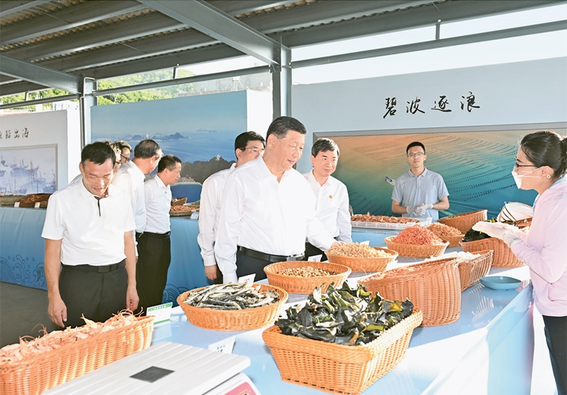 2024年10月15日至16日，中共中央總書記、國家主席、中央軍委主席習近平在福建考察。這是15日下午，習近平在漳州市東山縣陳城鎮(zhèn)澳角村考察時，了解海鮮干貨和漁獲產(chǎn)品交易情況。 新華社記者 謝環(huán)馳/攝