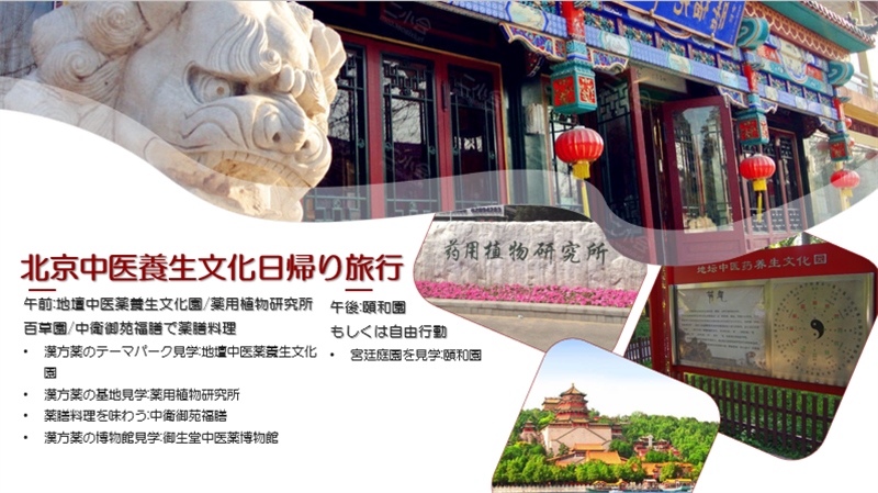 “你好！中國·休閑旅游—中國旅游說明會”宣講材料。中國駐東京旅游辦事處供圖