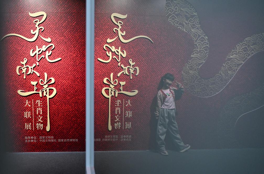 1月18日，一名小朋友在國(guó)家自然博物館舉辦的“靈蛇獻(xiàn)瑞——2025乙巳蛇年生肖文物大聯(lián)展”展覽中拍照留念。（新華社記者 陳鐘昊 攝）