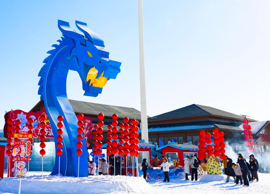2025年1月，游客在遼寧錦州東方華地城海洋冰雪王國內(nèi)游覽。新華社發(fā)