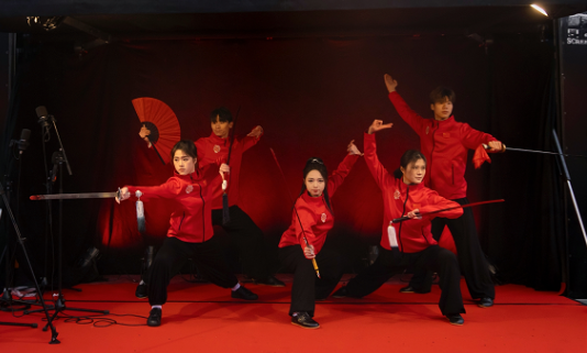 武術(shù)表演。中國(guó)駐芬蘭大使館供圖