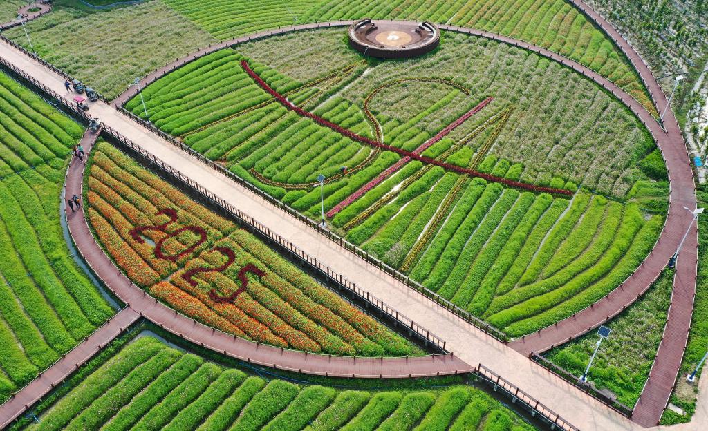 這是3月21日拍攝的瓊海博鰲南強(qiáng)村景色（無(wú)人機(jī)照片）。新華社記者 郭程 攝