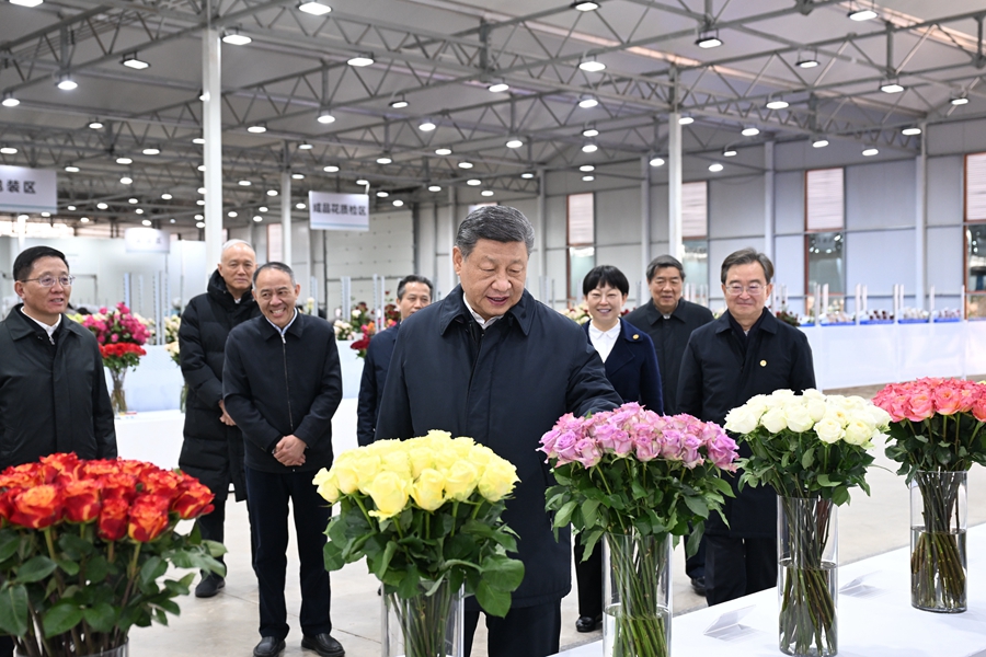 △3月19日下午，習近平總書記在云南麗江現代花卉產業(yè)園展廳考察時，察看鮮切花品種展示。