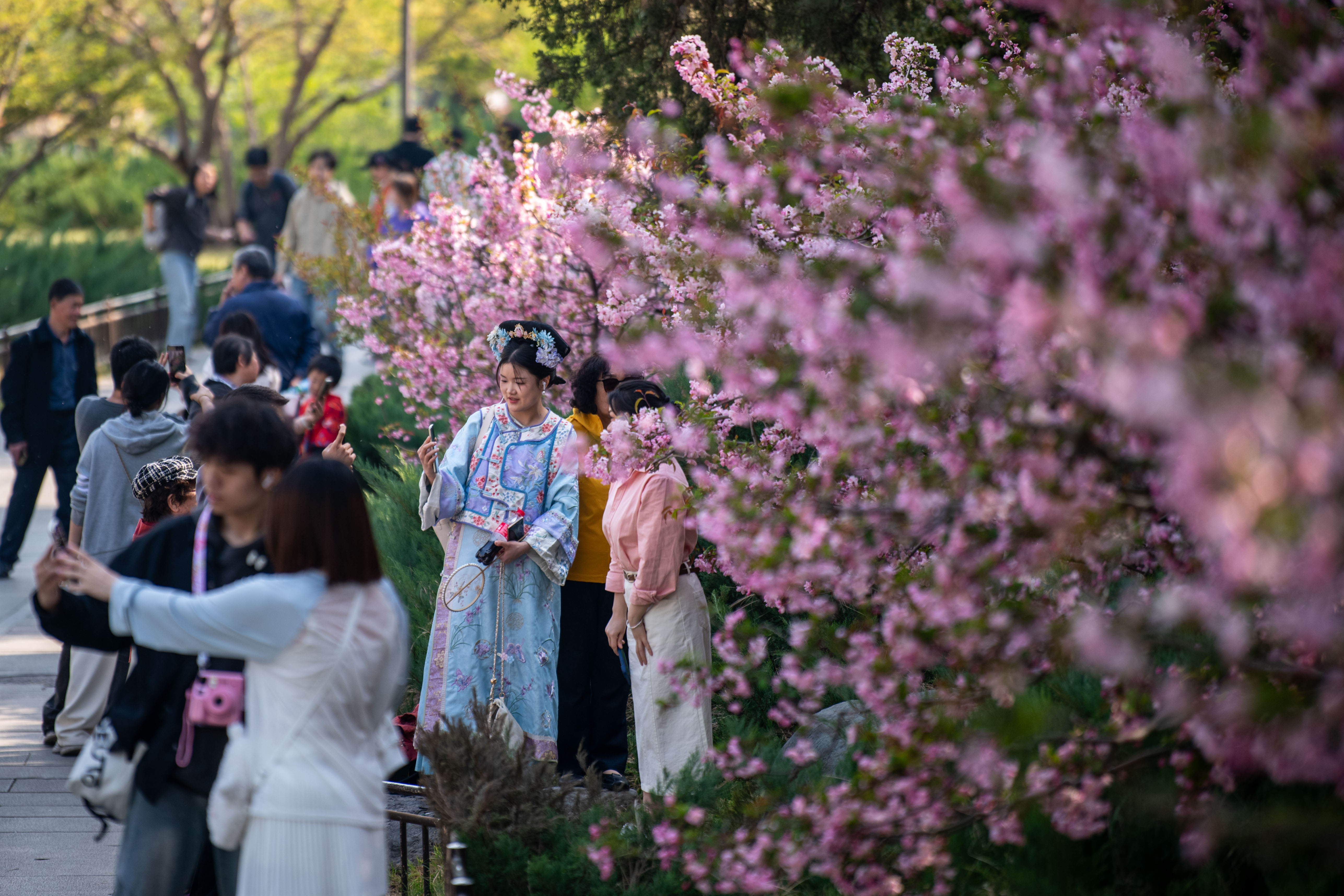 2025年4月6日，北京北海公園，滿園春色醉游人。人民網(wǎng)記者 翁奇羽攝