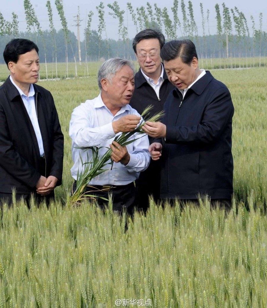 2014年5月，習(xí)近平總書記在河南省尉氏縣張市鎮(zhèn)高標(biāo)準(zhǔn)糧田察看小麥長勢。