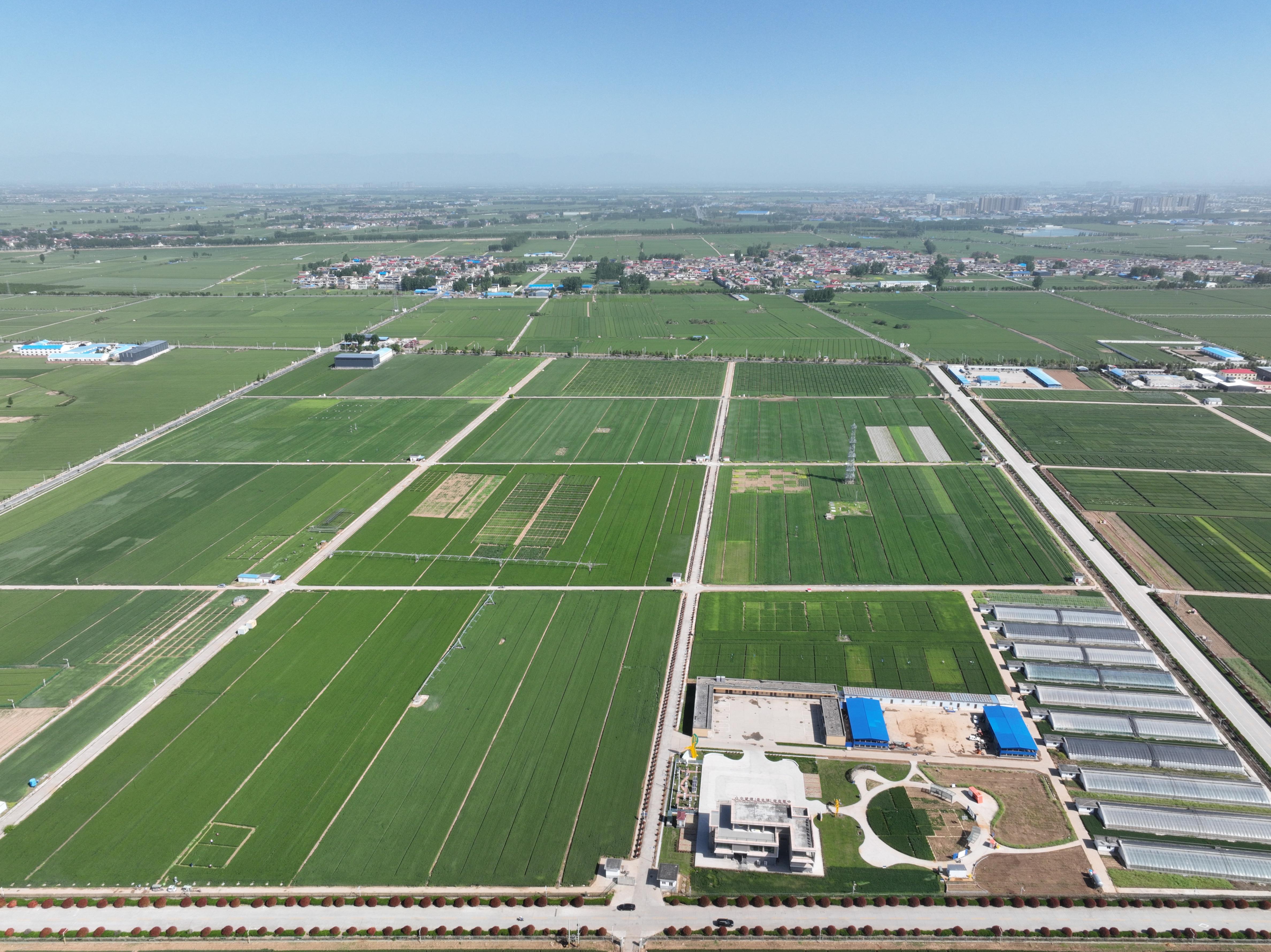 俯瞰水利部灌溉試驗(yàn)總站試驗(yàn)研究基地。受訪者供圖