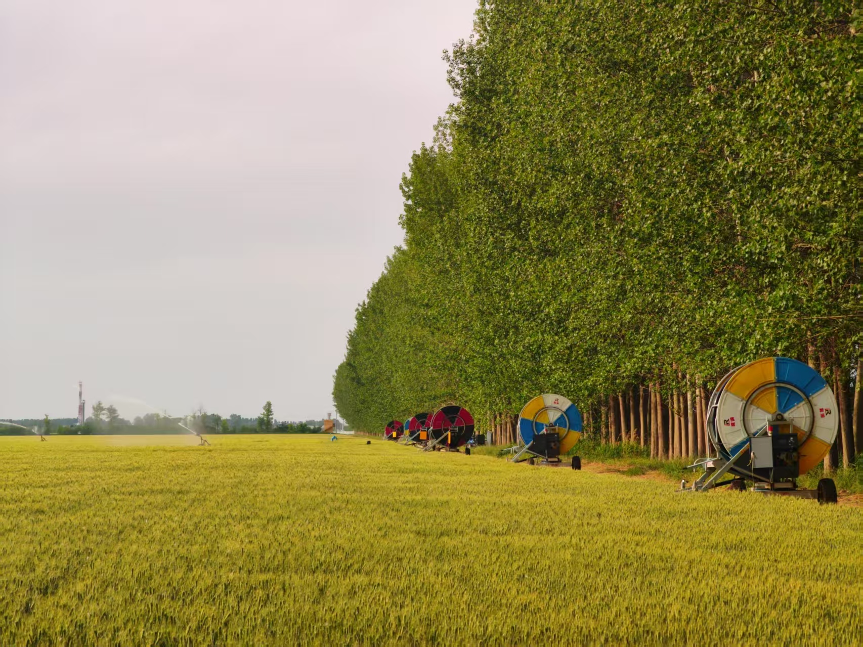 陜西華陰市華西鎮(zhèn)農(nóng)墾農(nóng)場正在作業(yè)的卷盤式噴灌機(jī)。受訪者供圖