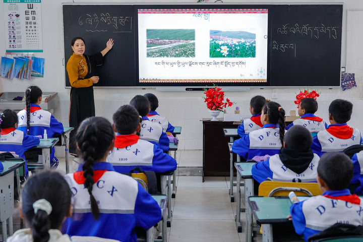2024年9月27日，在四川省甘孜藏族自治州道孚縣城關(guān)第一完全小學(xué)，采取“藏加模式”教學(xué)的五年級一班的藏語文課上，準(zhǔn)木周老師指導(dǎo)藏族學(xué)生以家鄉(xiāng)草原風(fēng)物為主題寫作藏語文作文。新華社記者 沈伯韓 攝